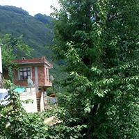 Altınordu Alisayvan Köyü Resimleri 8