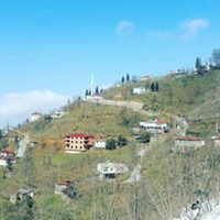 Altınordu Alisayvan Köyü Resimleri 9