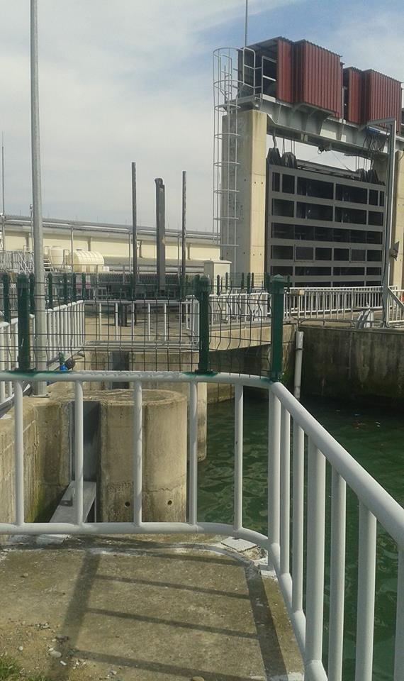 Çarşamba Kumköy Köyü Resimleri 11