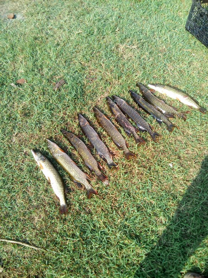 Çarşamba Kumköy Köyü Resimleri 7