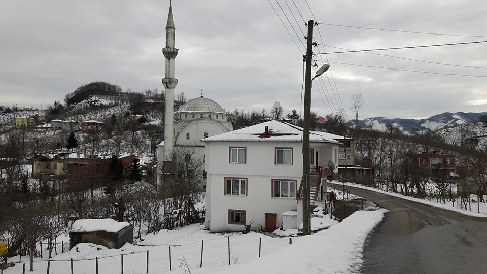 Altınordu Arpaköy Köyü Resimleri 1