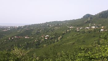 Altınordu Arpaköy Köyü Resimleri 10