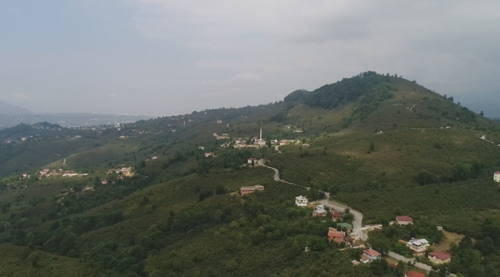 Altınordu Arpaköy Köyü Resimleri 11