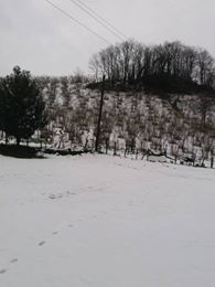 Altınordu Arpaköy Köyü Resimleri 12