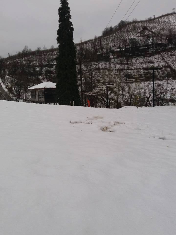 Altınordu Arpaköy Köyü Resimleri 15