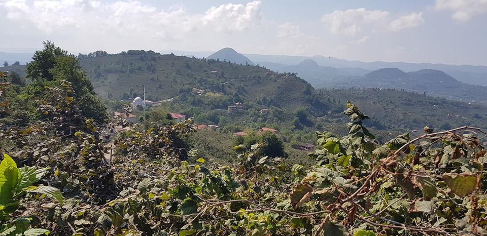 Altınordu Arpaköy Köyü Resimleri 16