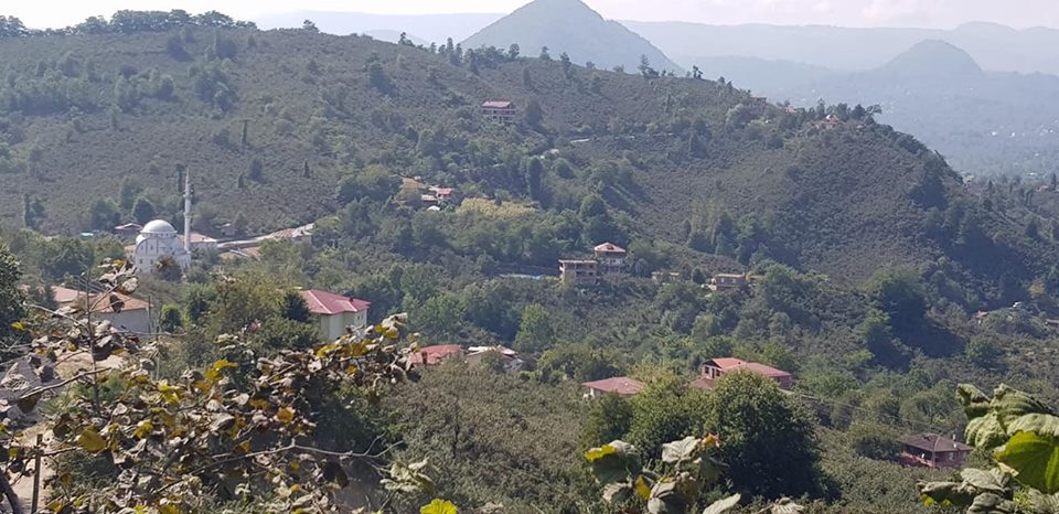 Altınordu Arpaköy Köyü Resimleri 17