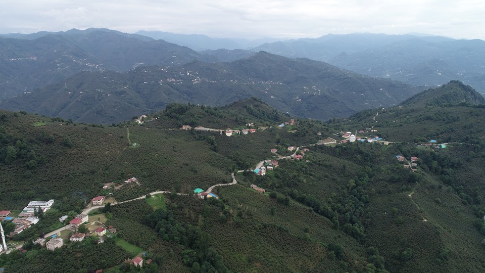 Altınordu Arpaköy Köyü Resimleri 19