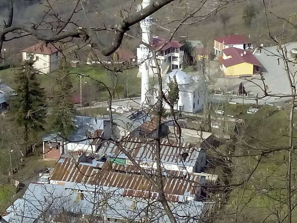 Altınordu Arpaköy Köyü Resimleri 2