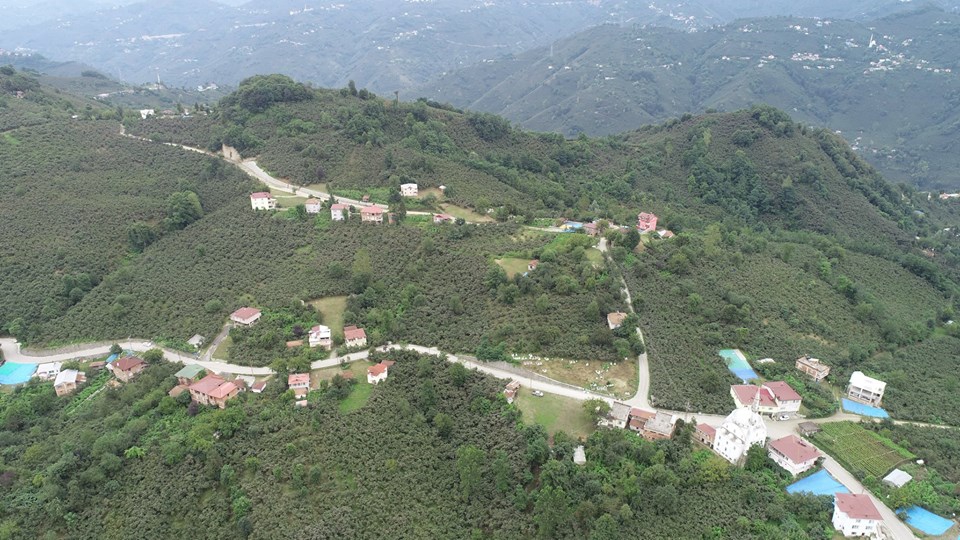 Altınordu Arpaköy Köyü Resimleri 20