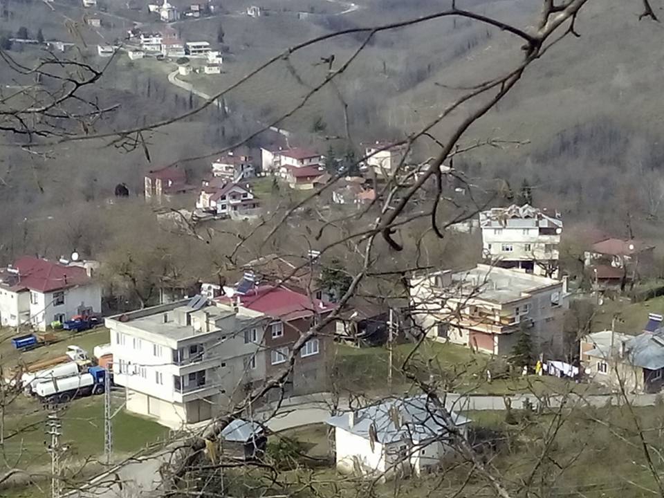 Altınordu Arpaköy Köyü Resimleri 6