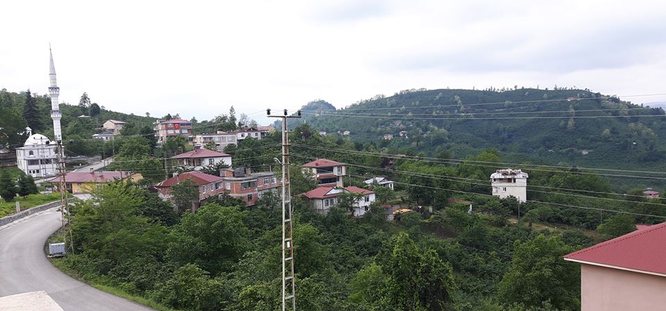 Altınordu Arpaköy Köyü Resimleri 8