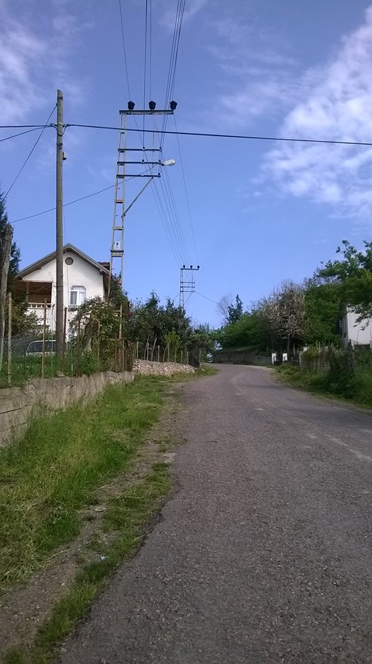 Altınordu Artıklı Köyü Resimleri 2