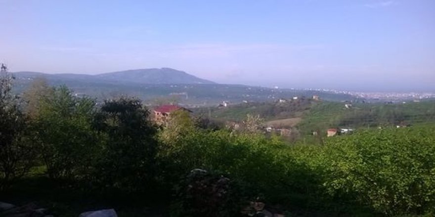 Altınordu Artıklı Köyü Resimleri