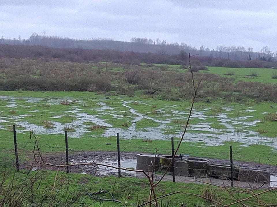 Çarşamba Kumtepe Köyü Resimleri 10