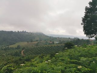 Altınordu Aydınlık Köyü Resimleri 4