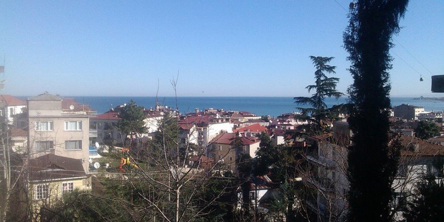 Altınordu Aziziye Köyü Resimleri