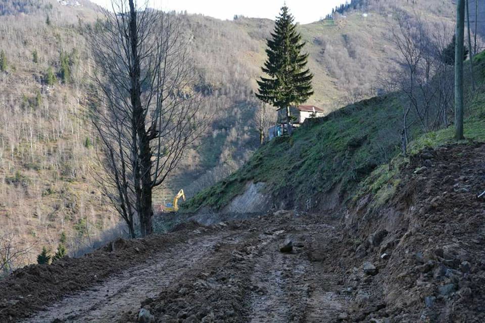 Altınordu Bahariye Köyü Resimleri 1