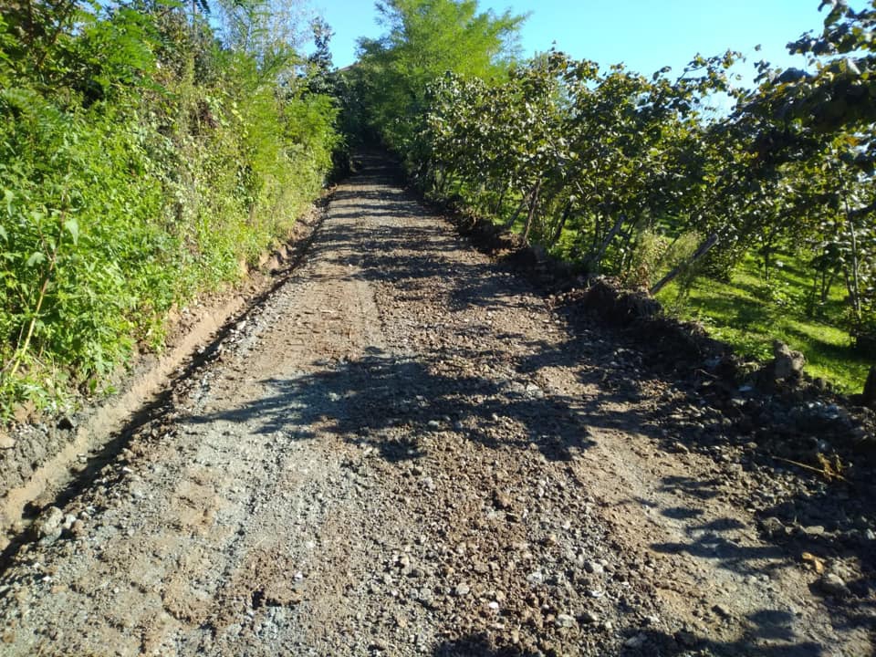 Altınordu Bahariye Köyü Resimleri 3