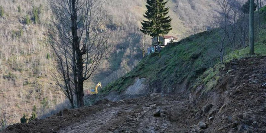 Altınordu Bahariye Köyü Resimleri