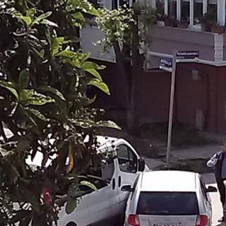 Altınordu Bahçelievler Köyü Resimleri 1