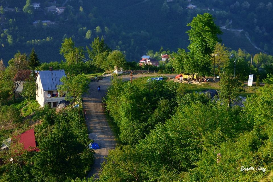 Altınordu Bayadı Köyü Resimleri 2