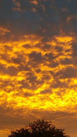 Altınordu Bayadı Köyü Resimleri 3