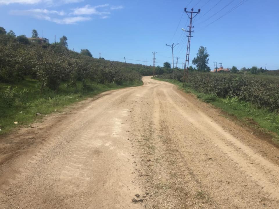 Altınordu Bayadı Köyü Resimleri 6