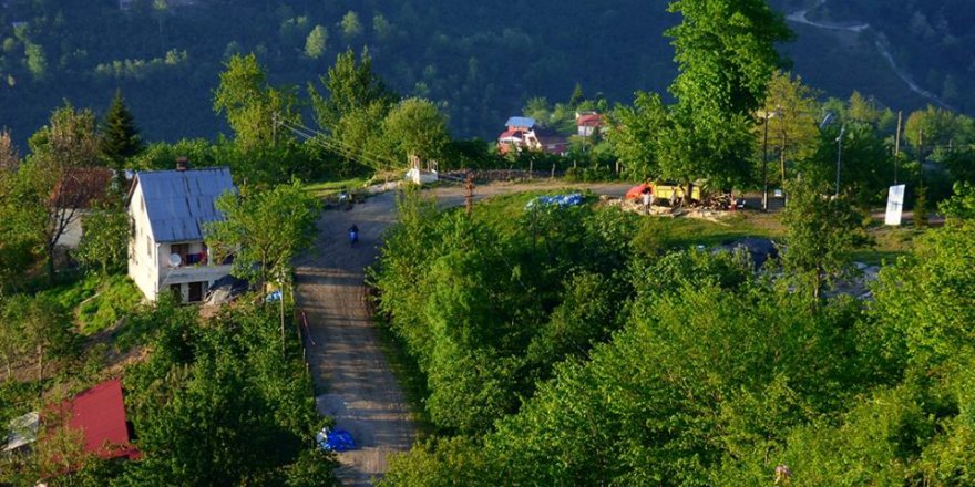 Altınordu Bayadı Köyü Resimleri