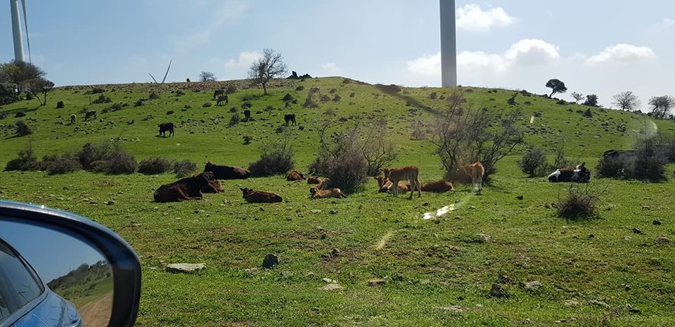Enez Hisarlı Köyü Resimleri 10