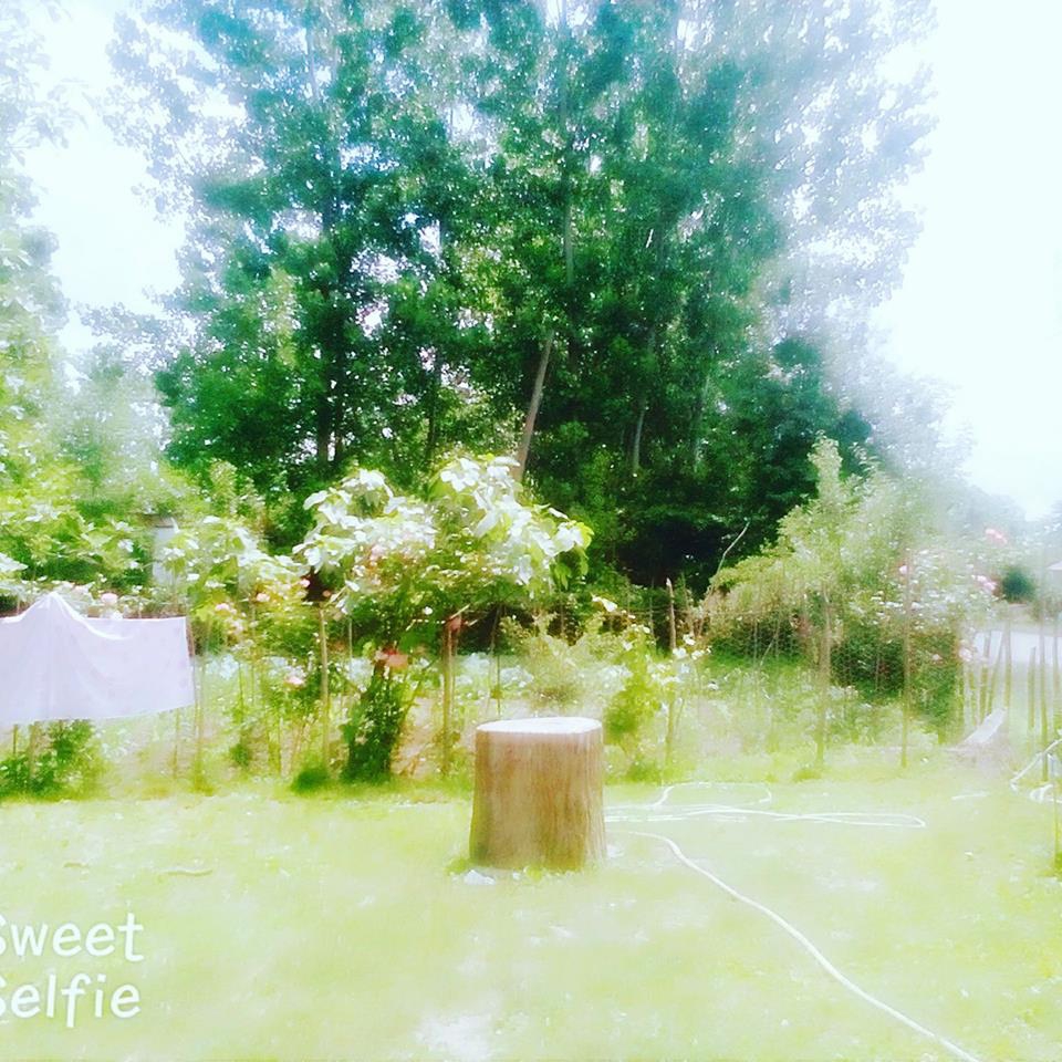 Çarşamba Oymalı Köyü Resimleri 5