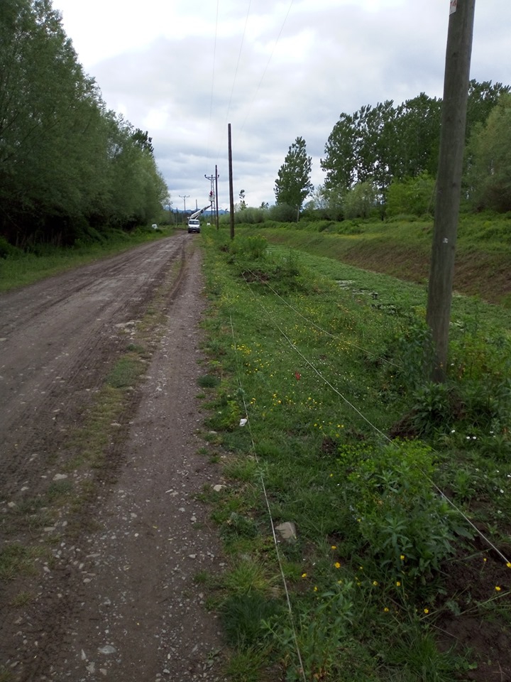 Çarşamba Oymalı Köyü Resimleri 6