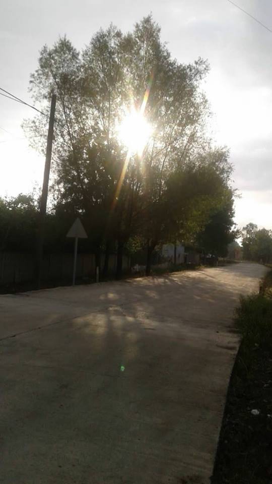 Çarşamba Oymalı Köyü Resimleri 8