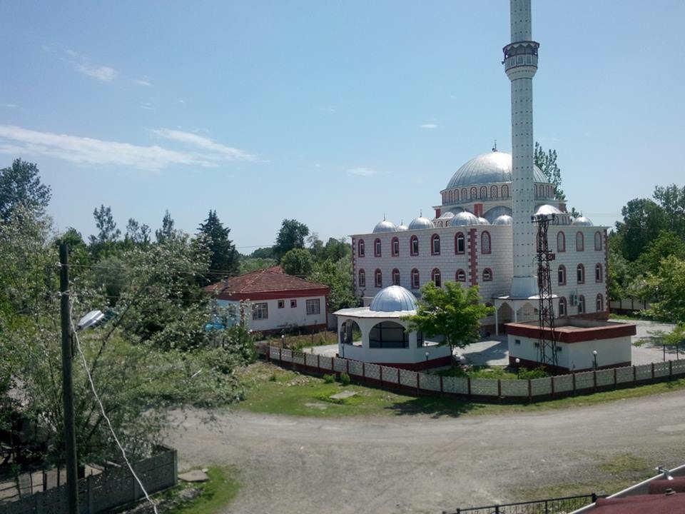 Çarşamba Oymalı Köyü Resimleri 9