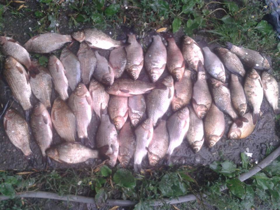 Çarşamba Ömerli Köyü Resimleri 2