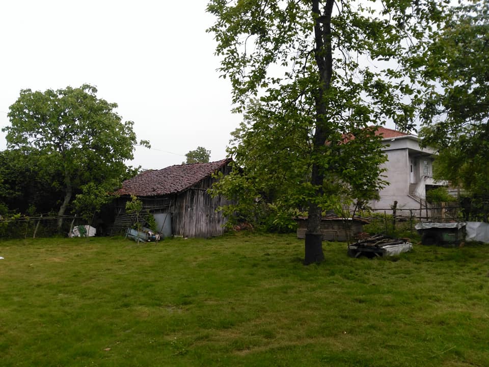 Çarşamba Ömerli Köyü Resimleri 8