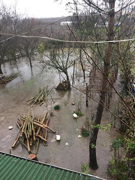 Çarşamba Sahilköy Köyü Resimleri 8