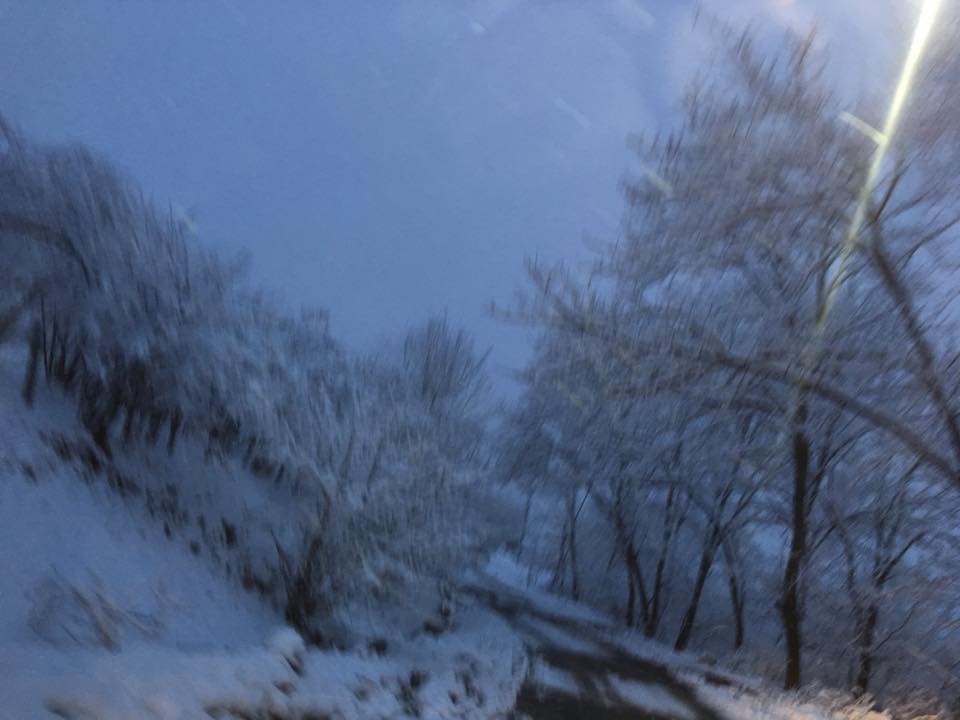 Çarşamba Selimiye Köyü Resimleri 2