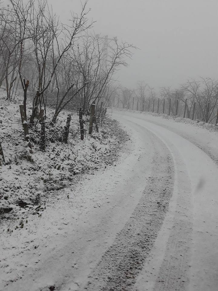 Çarşamba Soğucak Köyü Resimleri 2