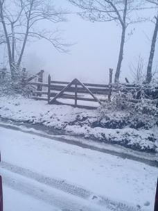 Çarşamba Soğucak Köyü Resimleri 3