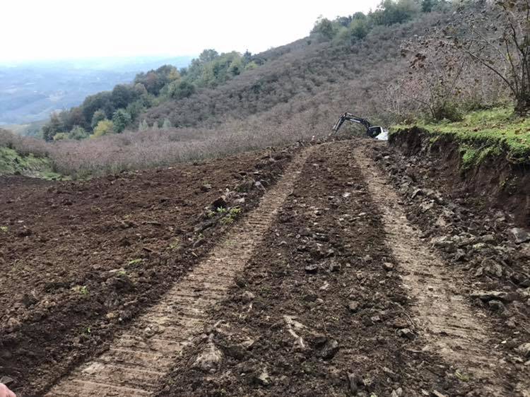 Çarşamba Soğucak Köyü Resimleri 4