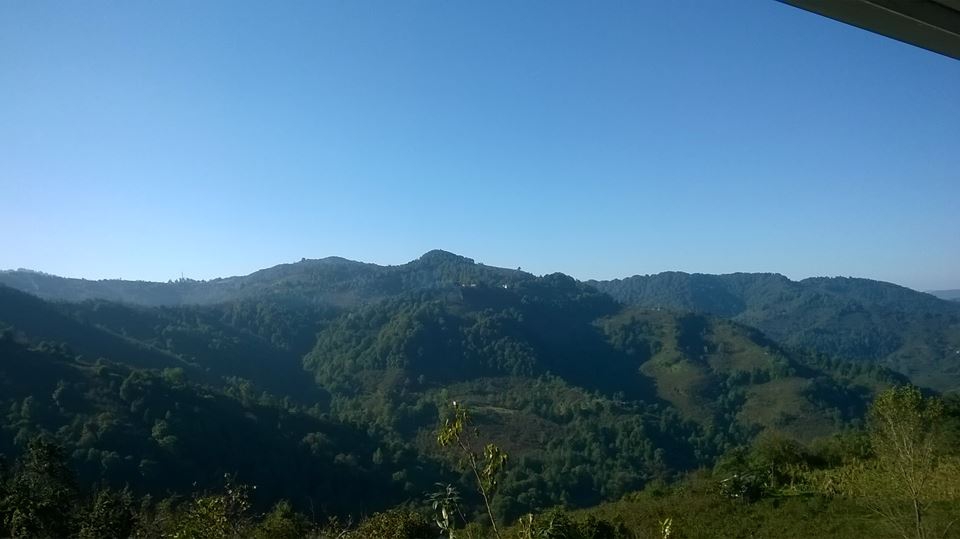 Çarşamba Soğucak Köyü Resimleri 5