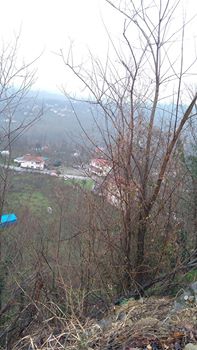 Altınordu Çavuşlar Köyü Resimleri 2