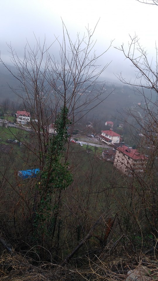 Altınordu Çavuşlar Köyü Resimleri 4