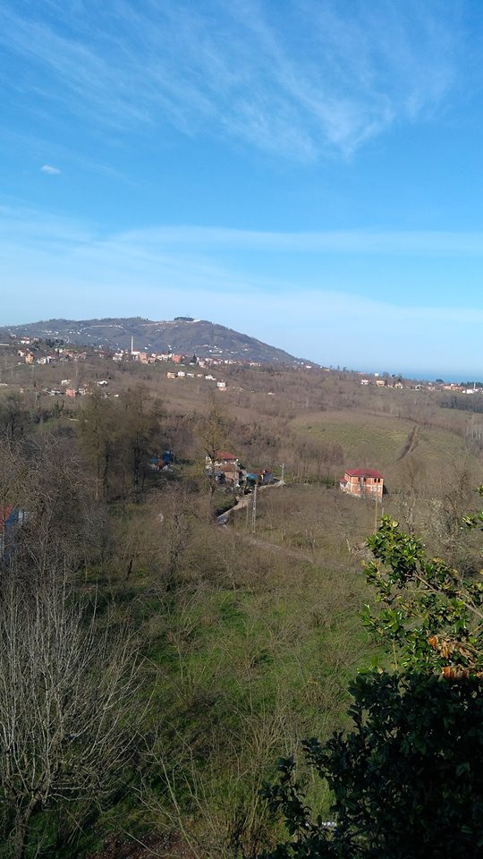 Altınordu Çavuşlar Köyü Resimleri 5