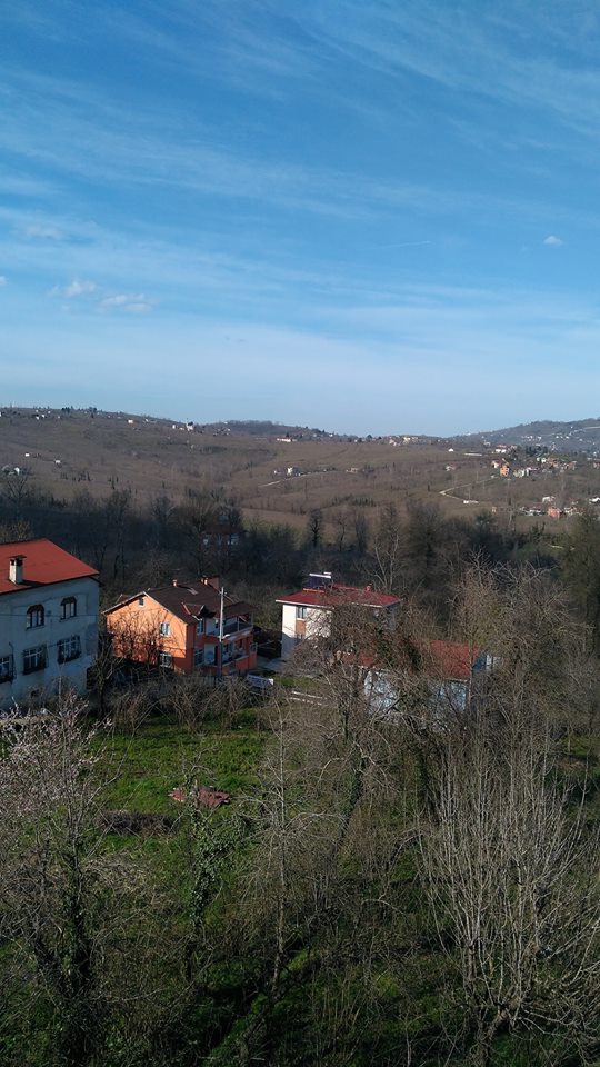 Altınordu Çavuşlar Köyü Resimleri 7