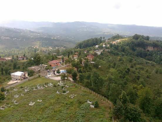 Altınordu Delikkaya Köyü Resimleri 10