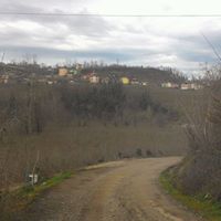 Altınordu Delikkaya Köyü Resimleri 11