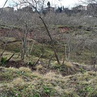 Altınordu Delikkaya Köyü Resimleri 14