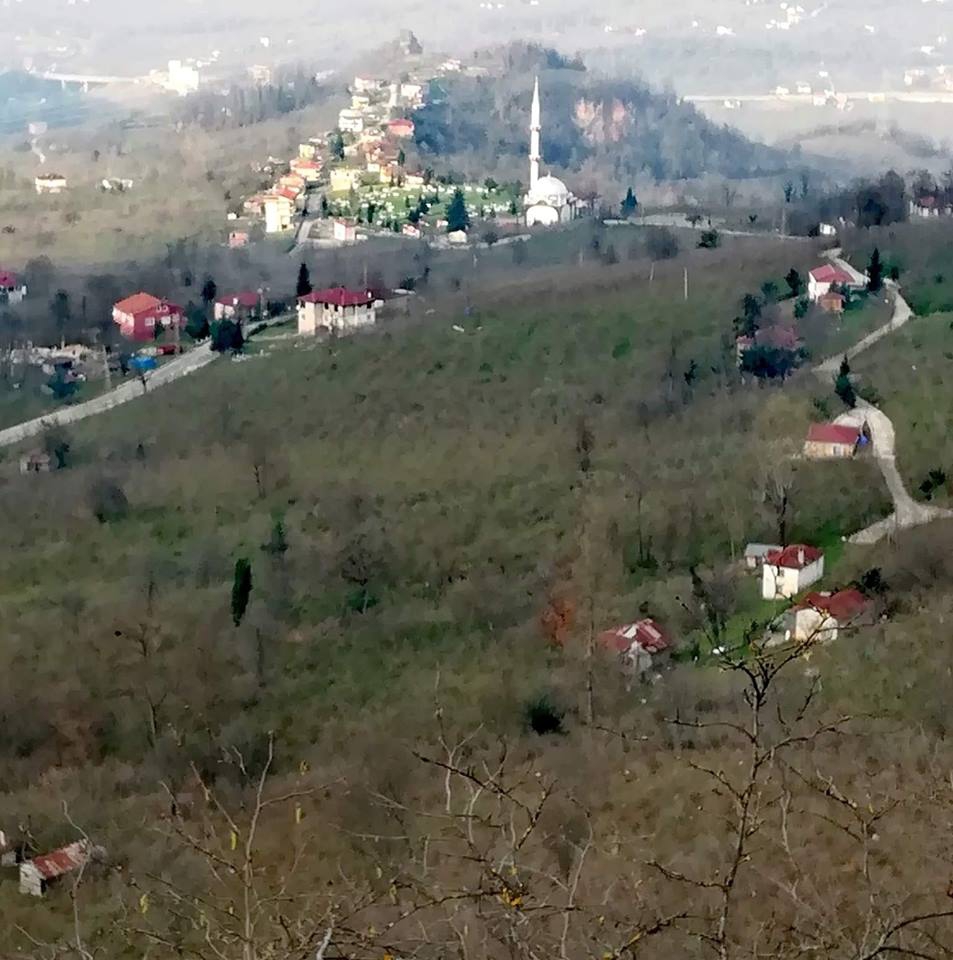 Altınordu Delikkaya Köyü Resimleri 15